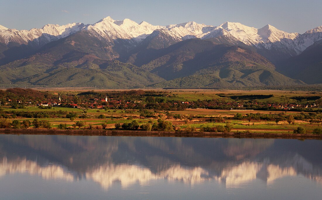 Comuna Arpașu de Jos, Sibiu