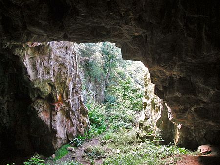 Ashhole Cavern Brixham