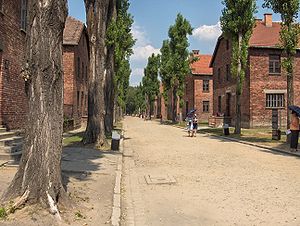 Auschwitz: Vaste complexe, La vie dans le camp, Résistance et évasions