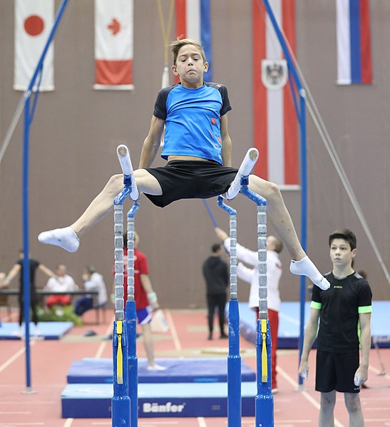 File:Austrian Future Cup 2018-11-23 Training Afternoon Parallel bars (Martin Rulsch) 0481.jpg