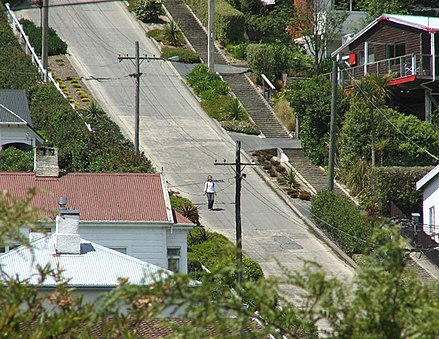 Baldwin Street in North East Valley is the world's steepest residential street