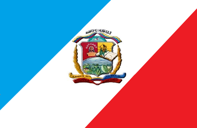 Bandera del Municipio José Tadeo Monagas y Altagracia de Orituco