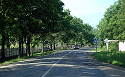 Eine Straße in Barabash