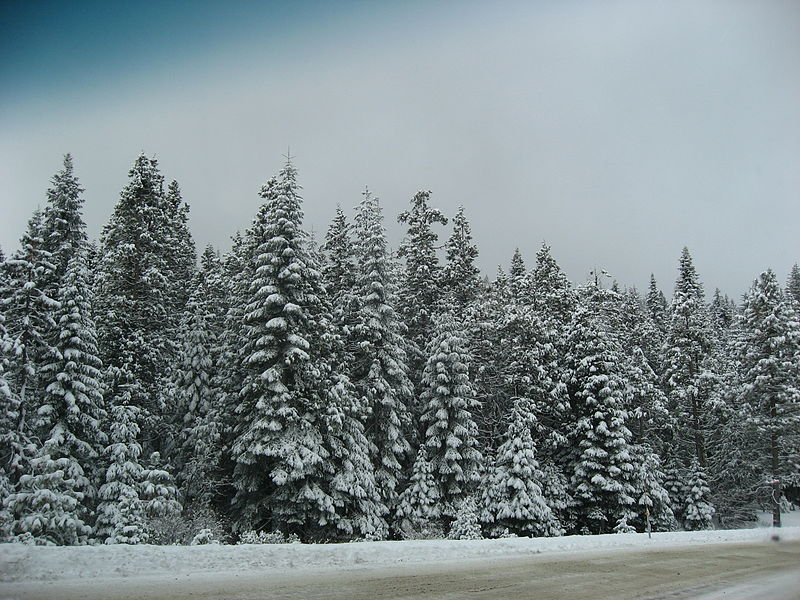 File:BasLakeSnowFallSierra.JPG