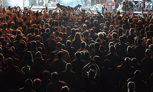 Gibbons crowdsurfing in 2011