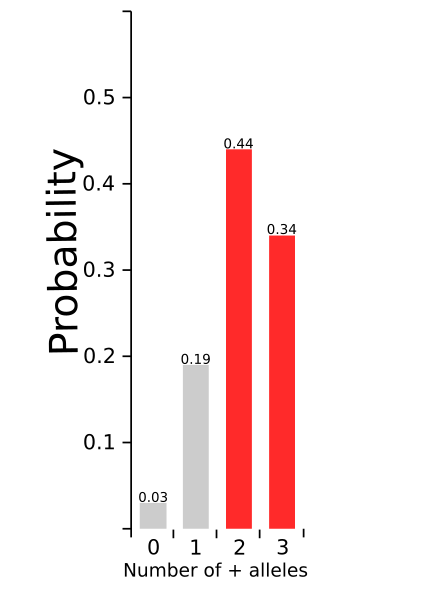 File:Binomial 3.svg