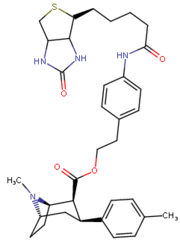 Biotinový postranní řetězec fenylethyl bi-cyklopentan fenyltropan.png