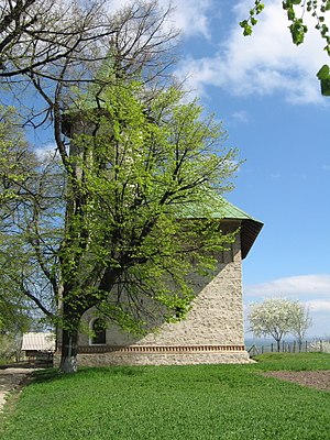 Deleni (Iași)