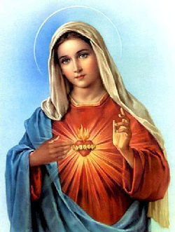 Ảnh đức mẹ Maria đẹp mân côi fatia linh thiêng 9  Heart canvas art Virgin  mary Jesus pictures