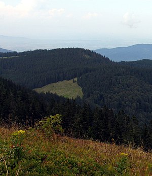 View from the Feldberg to the dead man
