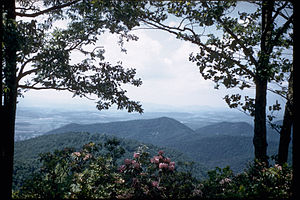 Blue Ridge Parkway BLRI9233.jpg