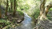 Bonesgate Stream in Castle Hill Bonesgate Stream in Castle Hill, Chessington.JPG