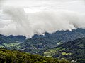 Boquete Cloud Forest 2.jpg