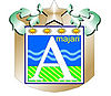 Official seal of Amajari