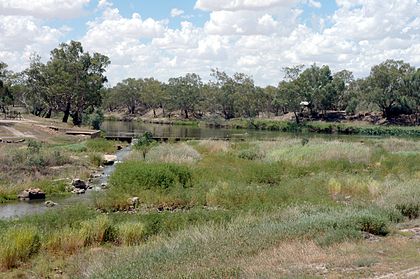 The Brewarrina fish traps 2008 Brewarrina fish traps 4.jpg