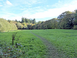 <span class="mw-page-title-main">Brickfield Meadow</span>