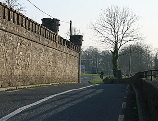 <span class="mw-page-title-main">R363 road (Ireland)</span> Road in Ireland
