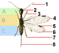 Hình xem trước của phiên bản lúc 12:29, ngày 22 tháng 12 năm 2010