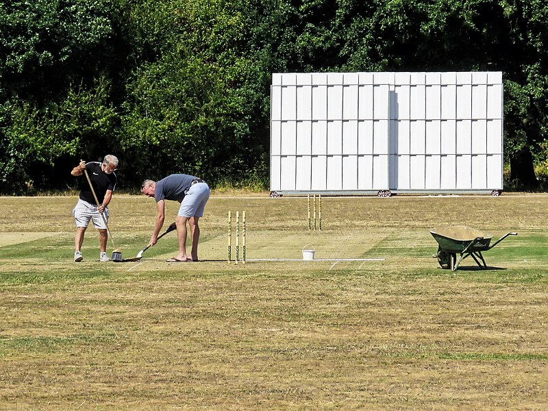 File:Buckhurst Hill CC v Gidea Park & Romford CC at Buckhurst Hill, Essex 029.jpg