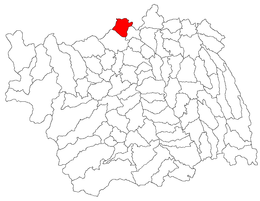 Buhuși - Carte