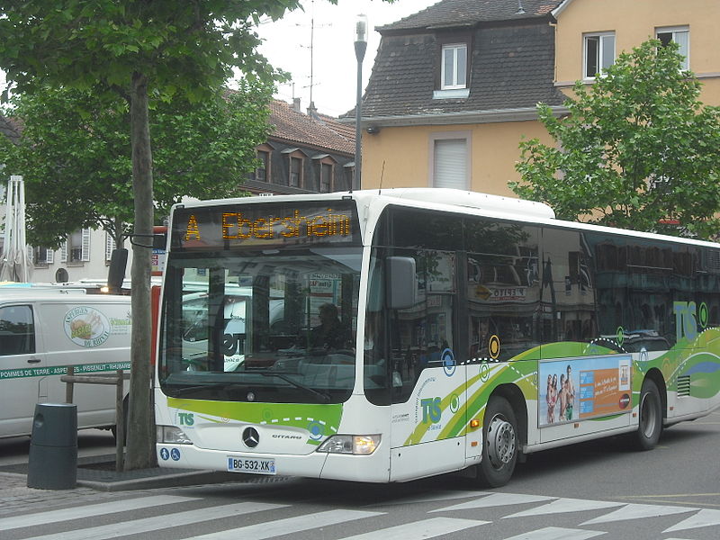 File:Bus TIS Sélestat.JPG