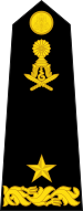 File:Cambodian Army OF-06.svg