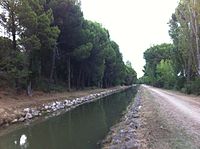 Canal del Duero en Laguna de Duero 002.jpg