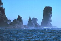 遭難: 山岳遭難, 海洋遭難, 山・海以外の遭難