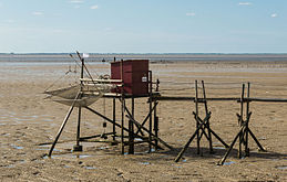 Carrelet, Esnandes, Charente-Maritime, august 2015.jpg