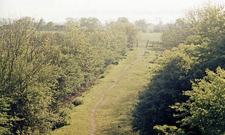 <span class="mw-page-title-main">Cassington Halt railway station</span> Former railway station in Oxfordshire, England