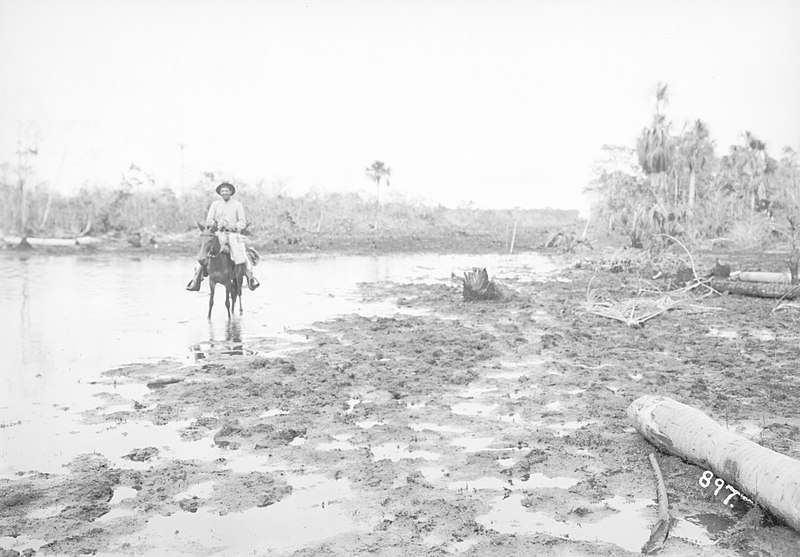 File:Cavaleiro em Trecho Inundado Pela Cheia do Rio Madeira - 897, Acervo do Museu Paulista da USP (cropped).jpg