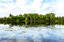 Cedar Lake in the Morning