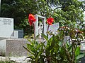 Cementerio de EL Hatillo