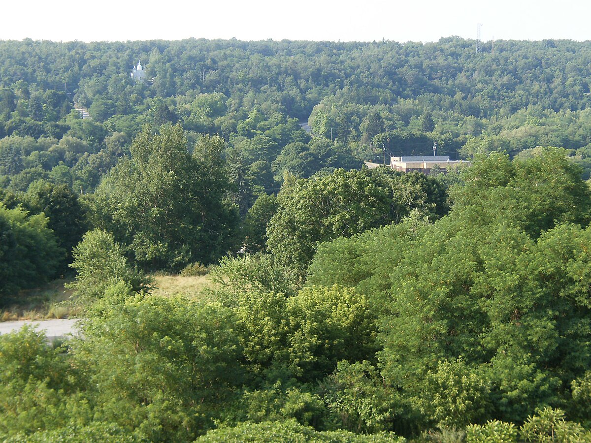 Centralia Pennsylvania Wikipedia