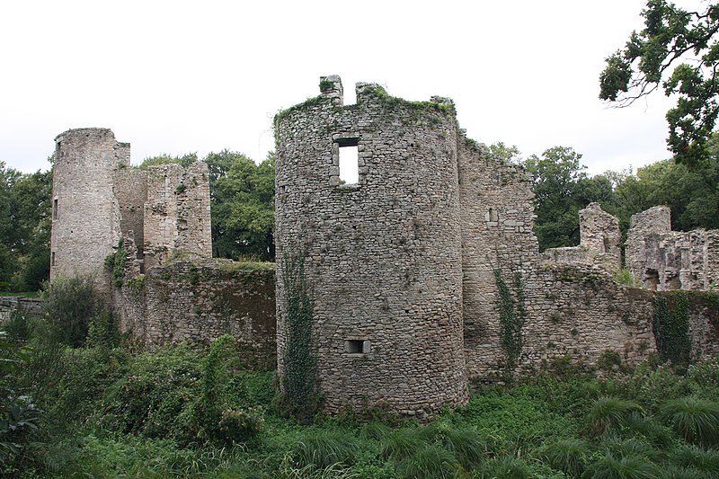 File:Château de Ranrouët. 015.JPG
