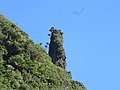 Chão da Ribeira, Seixal, Madeira - 2021-02-07 - IMG 1730.jpg