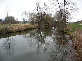 <span class="mw-page-title-main">Chamb</span> River in Germany and the Czech Republic