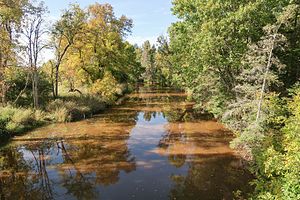 Ein Landschaftsfoto, das den Charlotte River in Bruce Township, Chippewa County, Michigan zeigt