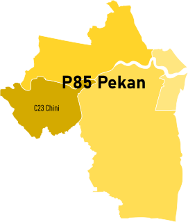 Chini (state constituency) Political subdivision in Malaysia