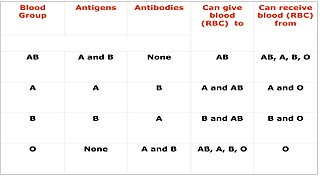 Cross-matching Testing before a blood transfusion