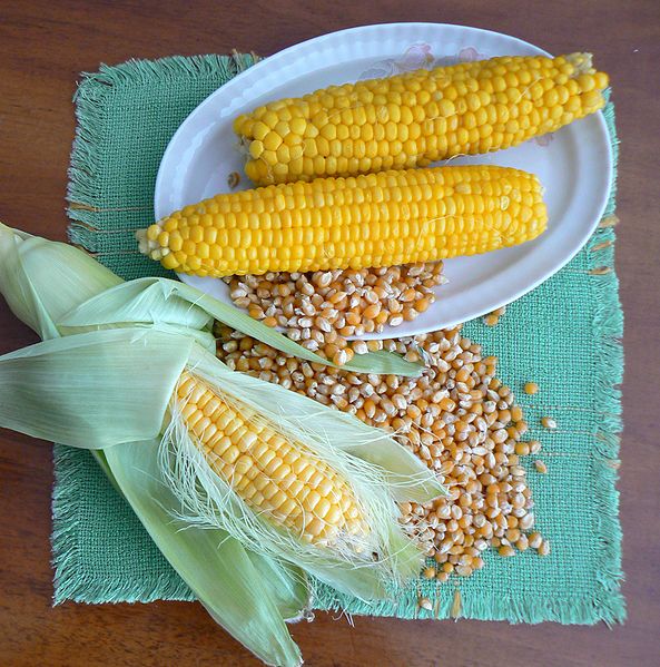 File:Corn-raw-boiled-and-dry.jpg