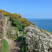 Cornwall Coast Path, Mawnan Cornwall Coast Path, Mawnan (17050749880).jpg