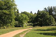 Meadow area with oak trees in the background. CountryPath HSVLeveks.jpg