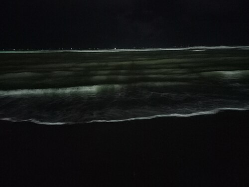 Cox's Bazar Sea Beach at night