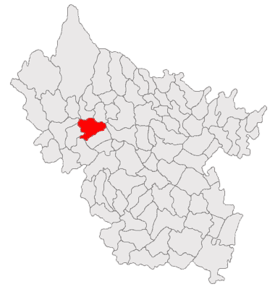 Poziția în cadrul județului Buzău