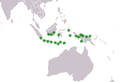 Cycas rumphii distribution