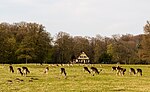 Vorschaubild für Wildpark Dülmen