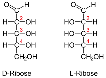 File:DL-Ribose num.svg