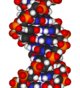 Sebuah fragmen DNA.