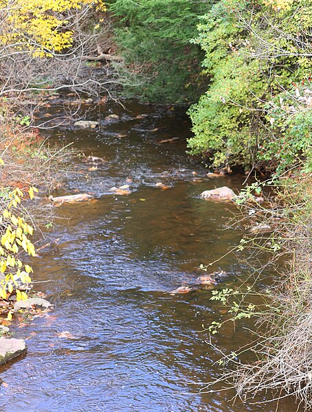 File:Davis Run looking downstream.JPG